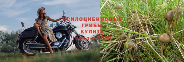 дурь Нефтекумск