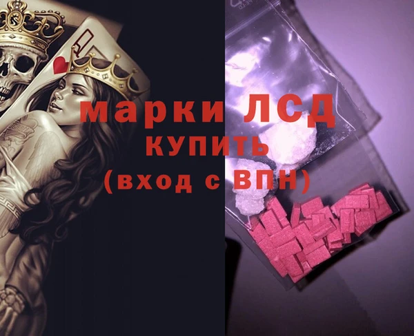 гашик Новозыбков