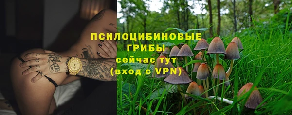 гашик Новозыбков