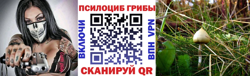 Купить  Сибай  Галлюциногенные грибы ЛСД 